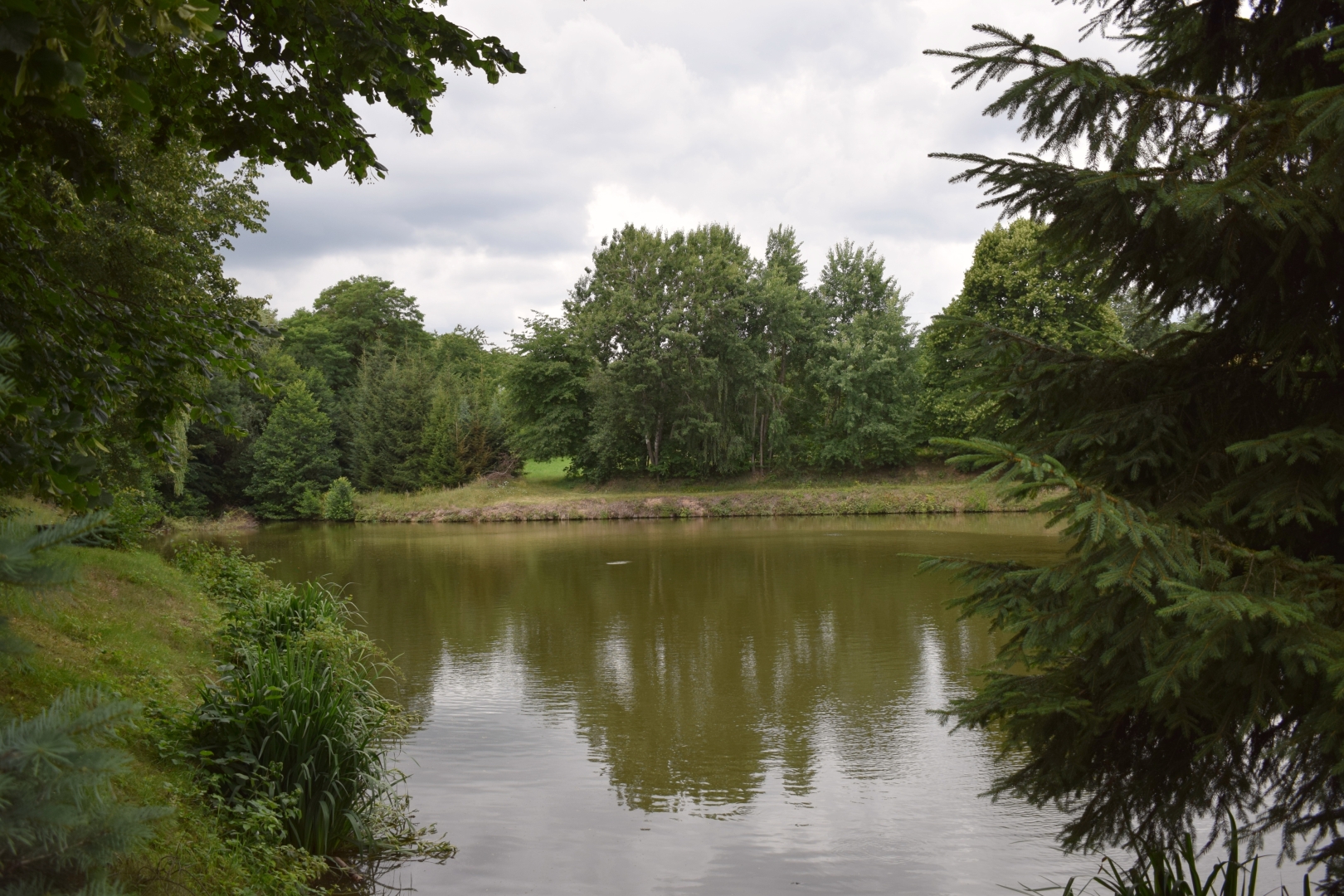Obec Žďárec - starý rybník